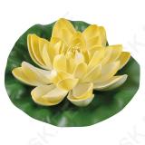 Big Yellow Water Lily Ø 19 cm