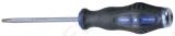 Torx kruvikeeraja T30 x 100 mm, löökpea