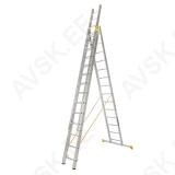 Profi ladder 3x14 FORTE