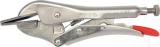 Locking Pliers 8" (200mm)