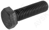 Polt täiskeere 10x40 mm