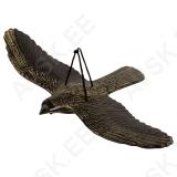 Hawk, Large