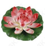 Big Red Water Lily Ø 28 cm