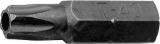 8mm(5/16") otsik torx avaga lühike th27 triumf