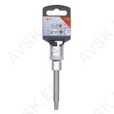 Padrunotsik 1/2" TORX T40 pikkus 100mm