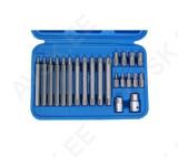 Bit Set | 10 mm (3/8") hex Drive | Spline (for Ribe) | 22 pcs.