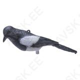 Magpie on a Plastic Pole