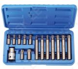 Bit Set | 10 mm (3/8") Drive | T-Star (for Torx) | 15 pcs.