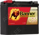 BANNER AKU BACKUP AGM AUX14 12AH 200A 150X88X145 (P.L.K)