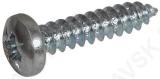 Plekikruvi 4,8x32 PZ2