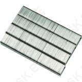 Staples 10mm (0.7X11.2) 1000Pcs