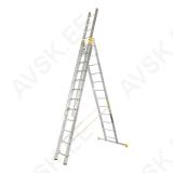 Profi ladder 3x12 FORTE