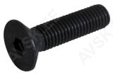 Sisekuuskantpolt 6X10 mm