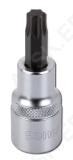 Padrun TORX 1/2" T60