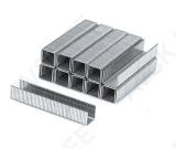 Staples 8mm /10.6X1.2/ 1000Pcs