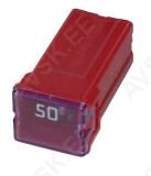 PEAKAITSE PUNANE,1 TK